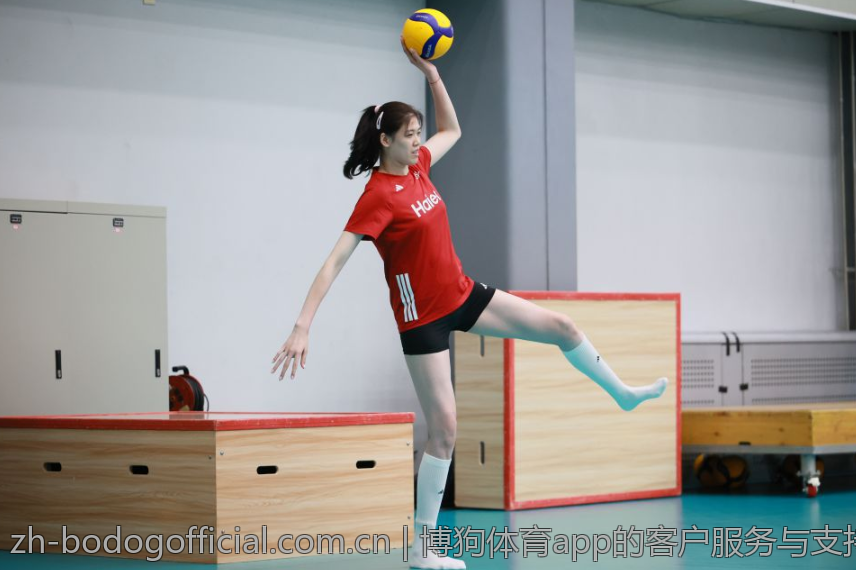 博狗体育app的客户服务与支持渠道