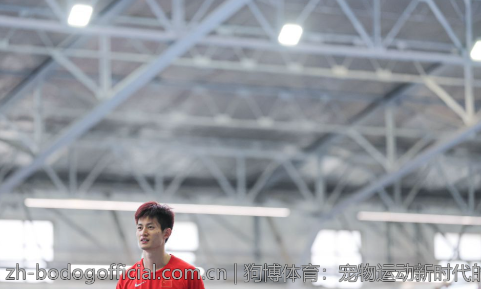 狗博体育：宠物运动新时代的引领者