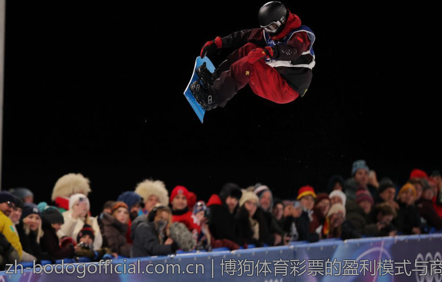 博狗体育彩票的盈利模式与商业分析
