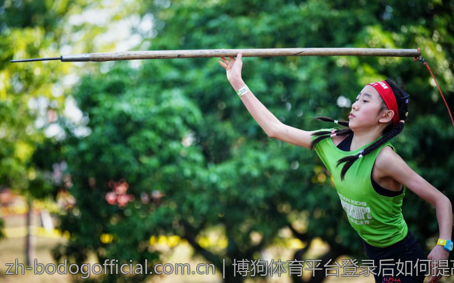 博狗体育平台登录后如何提高投注成功率