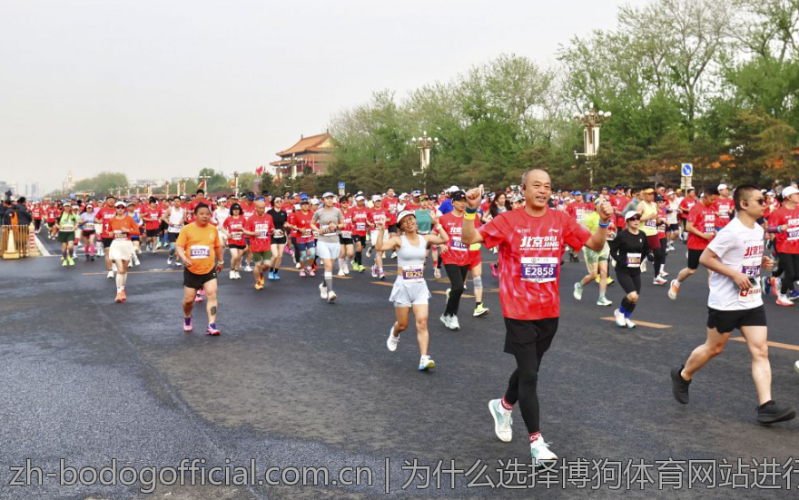 为什么选择博狗体育网站进行在线体育博彩